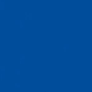 Meet your Posher, Sonam